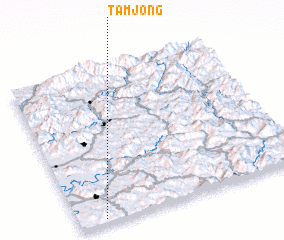 3d view of Tamjŏng