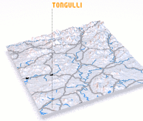 3d view of Tongul-li