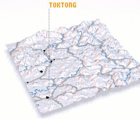 3d view of Tok-tong