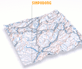 3d view of Simp\