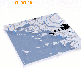 3d view of Chinch\
