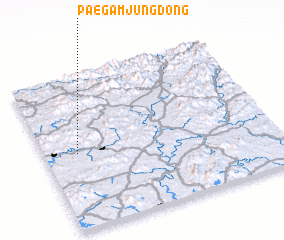 3d view of Paegamjung-dong