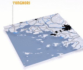 3d view of Yongho-ri