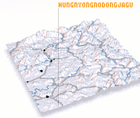 3d view of Hŭngnyŏng-nodongjagu