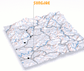 3d view of Songjae