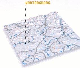 3d view of Wŏnt\