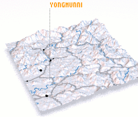 3d view of Yongmun-ni