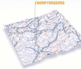 3d view of Chŏnp\