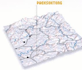 3d view of Paeksŏk-tong