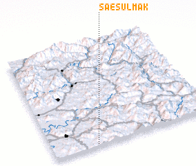 3d view of Saesulmak