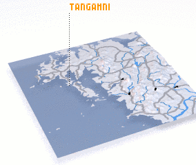 3d view of Tangam-ni