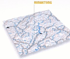 3d view of Munak-tong