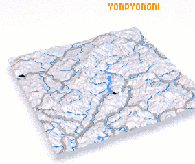 3d view of Yŏnp\