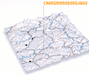 3d view of Changnim-nodongjagu