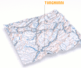 3d view of Tongmun-ni