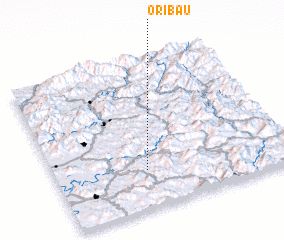 3d view of Oribau