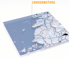 3d view of Chungmak-tong