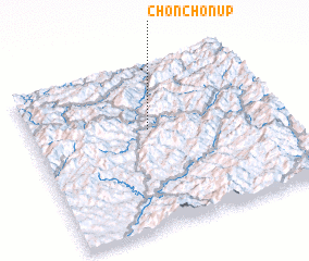 3d view of Chŏnch\