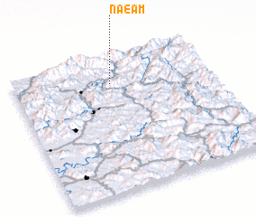 3d view of Naeam