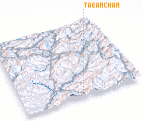 3d view of Taeamch\