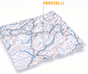 3d view of Paeksal-li