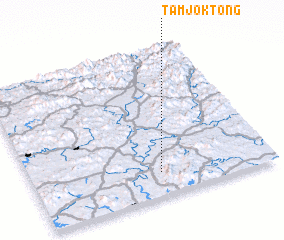 3d view of Tamjŏk-tong