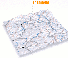 3d view of Taesang-ni