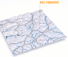 3d view of Wŏltae-dong