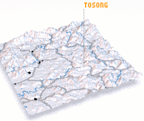 3d view of T\