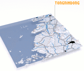 3d view of Tŏngnim-dong