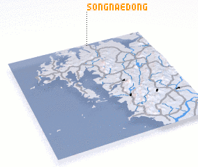 3d view of Songnae-dong