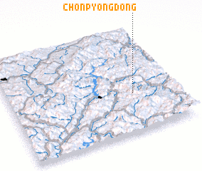 3d view of Chŏnp\