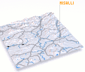 3d view of Misal-li