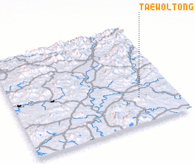 3d view of Taewŏl-tong