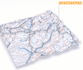 3d view of Araenaemak