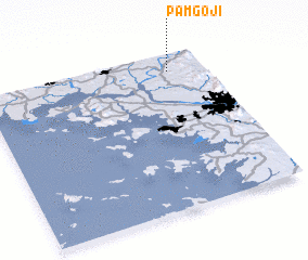 3d view of Pamgoji