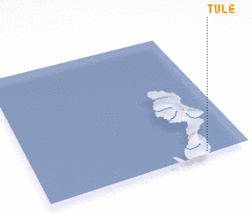 3d view of Tule