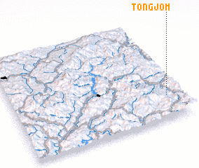 3d view of Tongjŏm