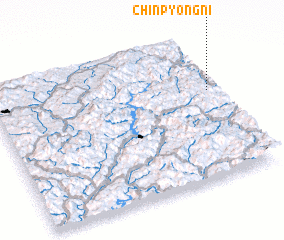 3d view of Chinp\