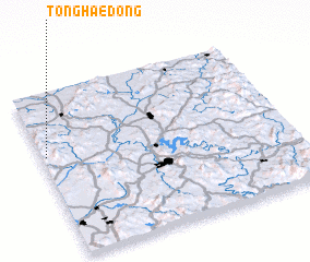 3d view of Tonghae-dong