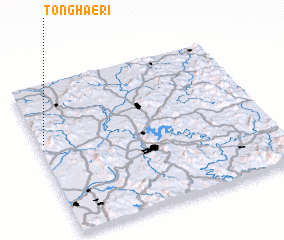 3d view of Tonghae-ri