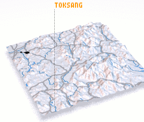 3d view of Toksang