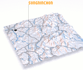 3d view of Sŏngnin-ch\