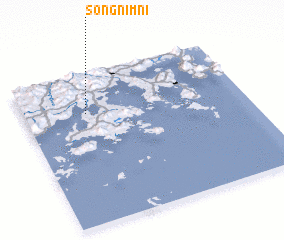 3d view of Songnim-ni