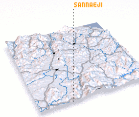 3d view of Sannaeji