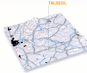 3d view of Talgesil