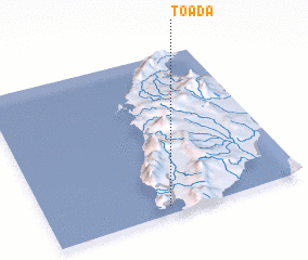 3d view of Toada