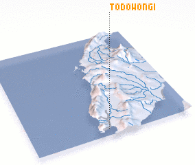 3d view of Todowongi