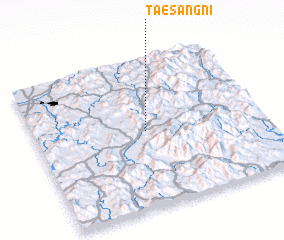 3d view of Taesang-ni