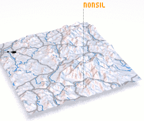 3d view of Nonsil